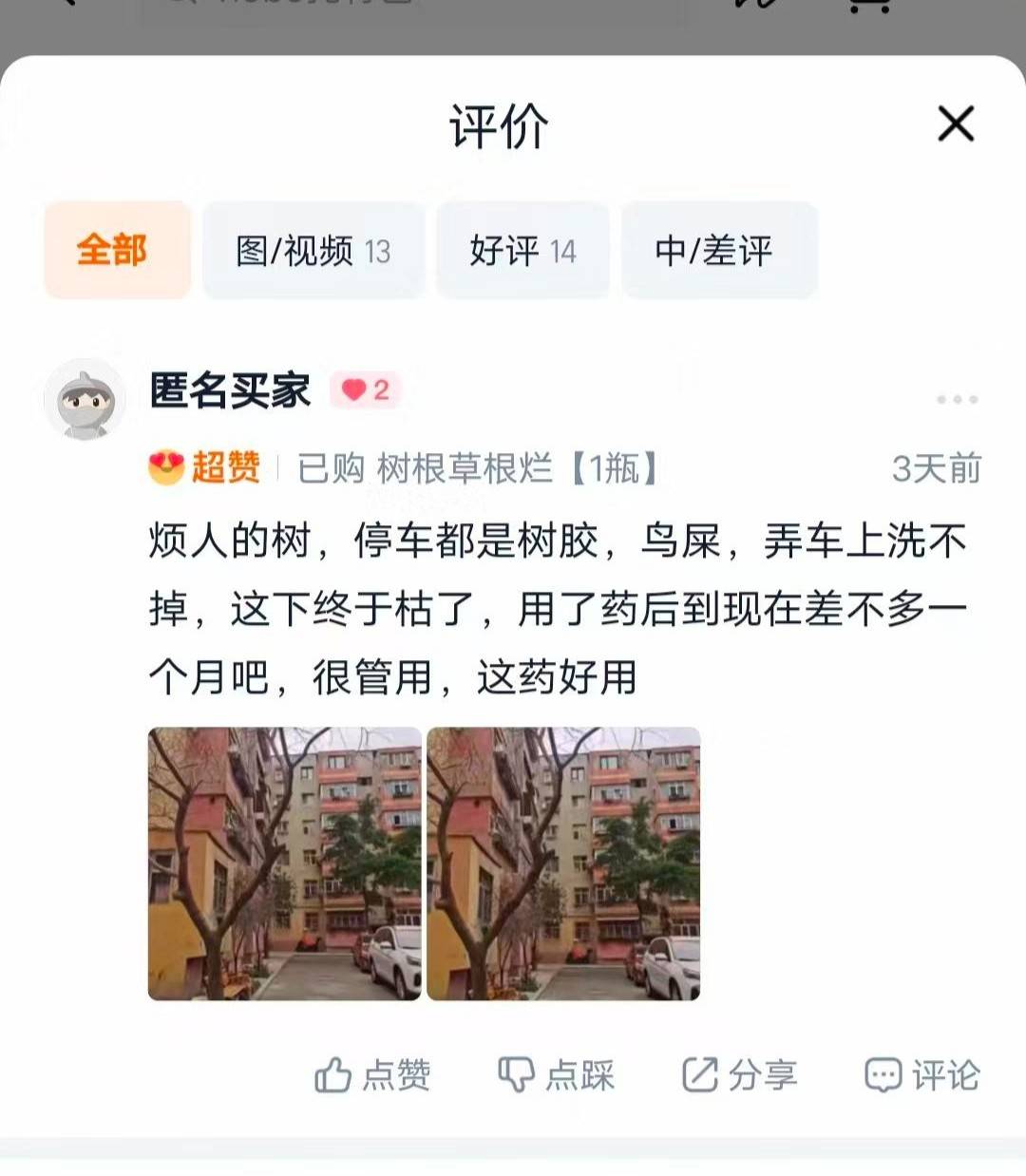 一滴致死的“殺樹藥”，用“零星小額”就能繞過法律紅線？