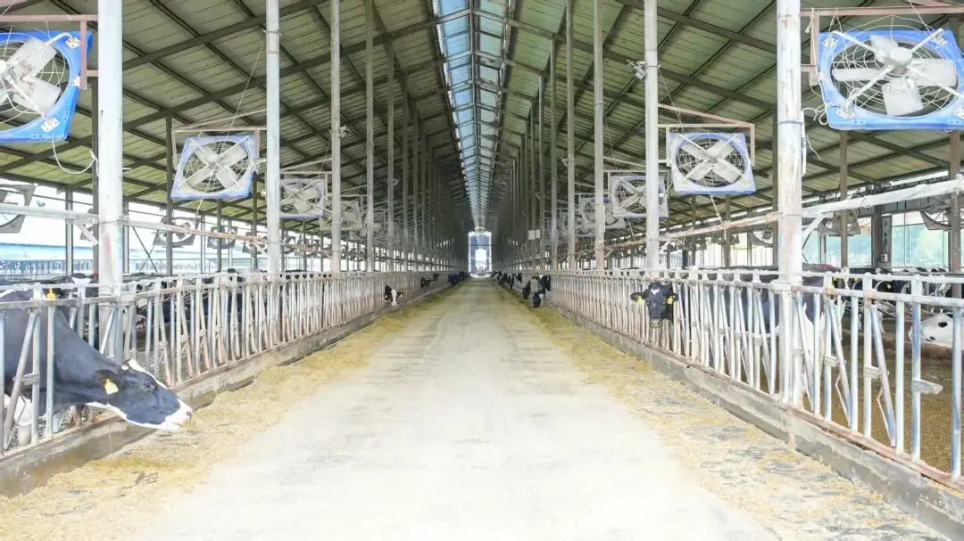 從“他鄉”到“吾鄉”！鄭州這樣為水庫移民“安家”→