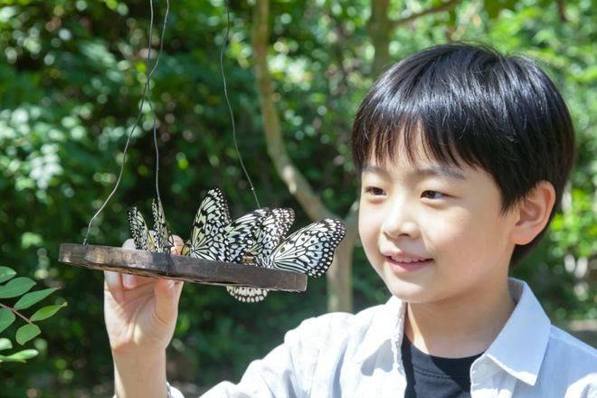 春假，螢火蟲水洞.地下大峽谷旅遊區“野味”十足！