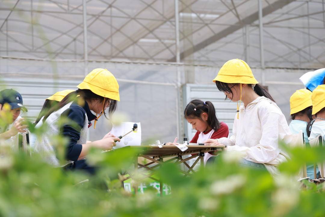 蔬菜園裡有什麼？有60個耍春假的小學生｜圖集