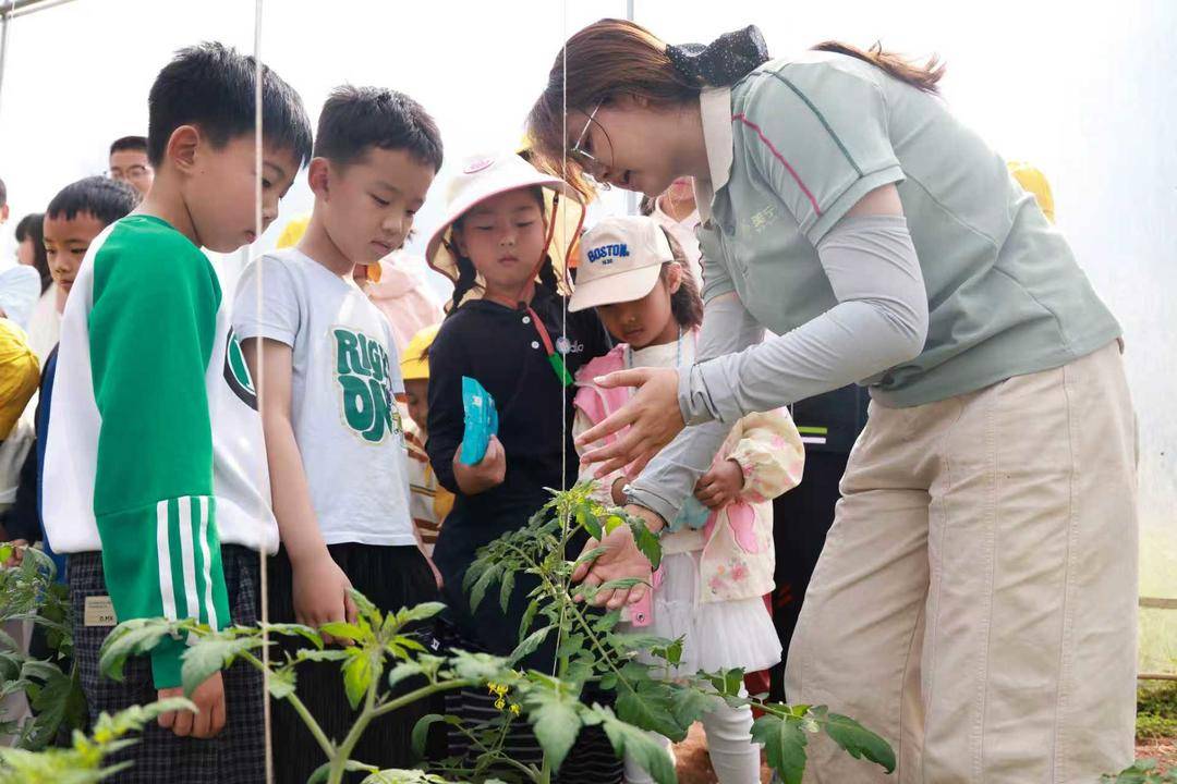 蔬菜園裡有什麼？有60個耍春假的小學生｜圖集