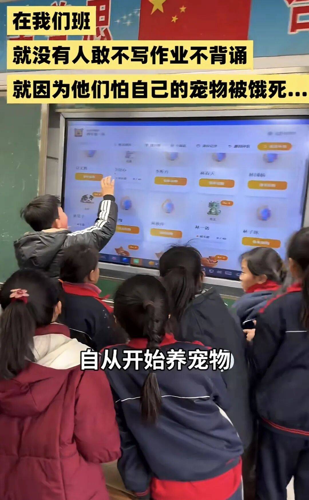 風靡全國的雲養寵，硬控10後小學生