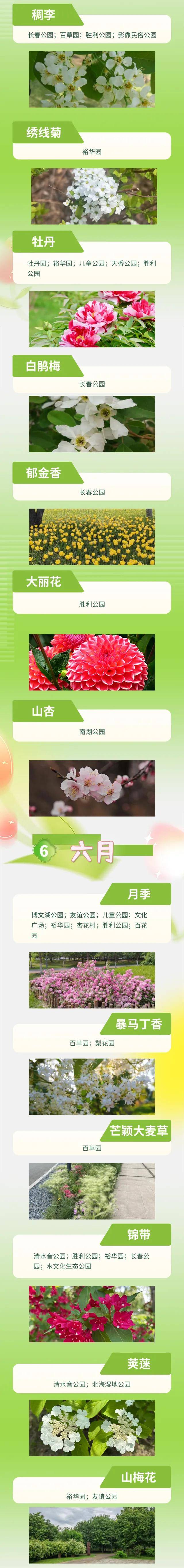 絕了！一直開開開不完！賞花攻略趕緊收藏