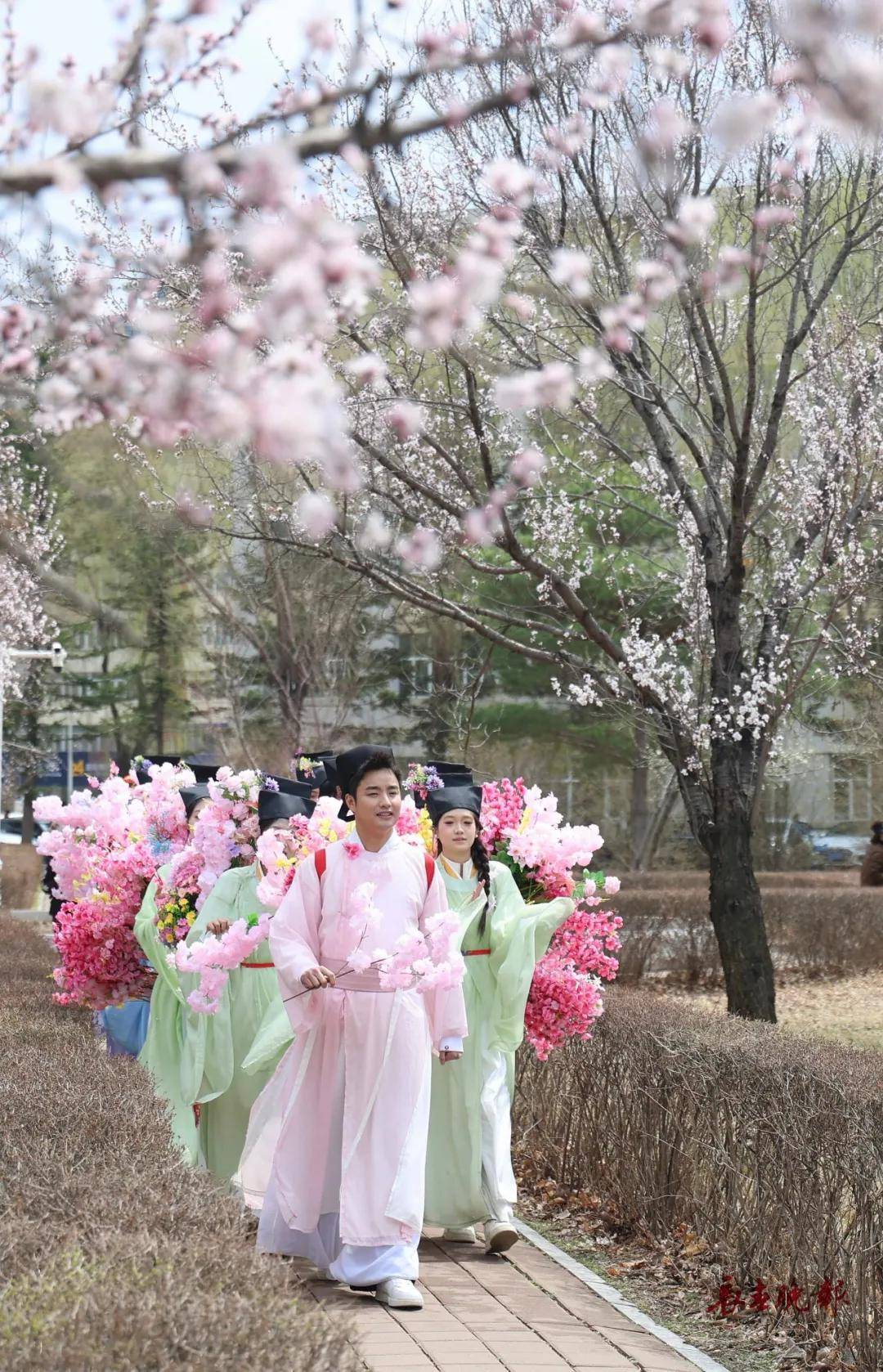 絕了！一直開開開不完！賞花攻略趕緊收藏