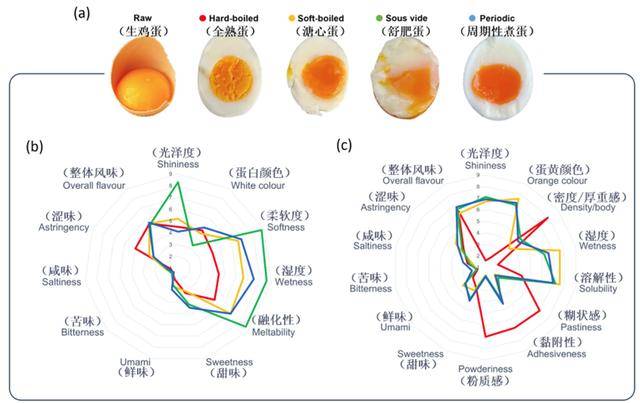 煮蛋也能發論文？全網“最懂雞蛋”的出現了