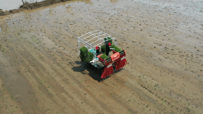 穀雨至，農事興！春耕也玩“黑科技”